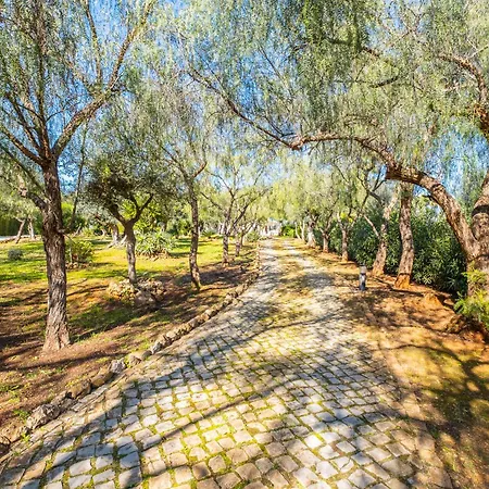 Monte A Vista - Private - Pool - New In וילה