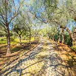 Monte A Vista - Private - Pool - New In Vila
